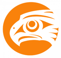 Artwork by Aaron Nelson-Moody, depicting the face of an eagle in profile against an orange circle