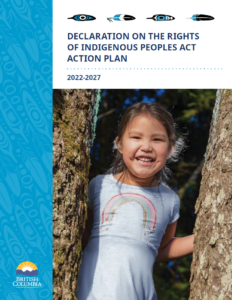 Cover of the DRIPA Action Plan, featuring an image taken by Melody Charlie of a smiling Indigenous child